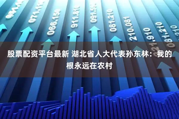 股票配资平台最新 湖北省人大代表孙东林：我的根永远在农村